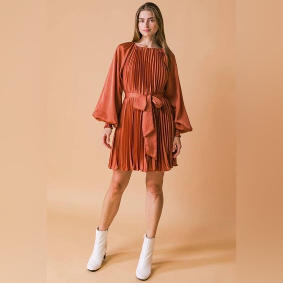 Dresses & Skirts - NWT Boutique Grace Pleated Long Sleeve Dress – Rust